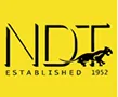 NDT Italiana logo